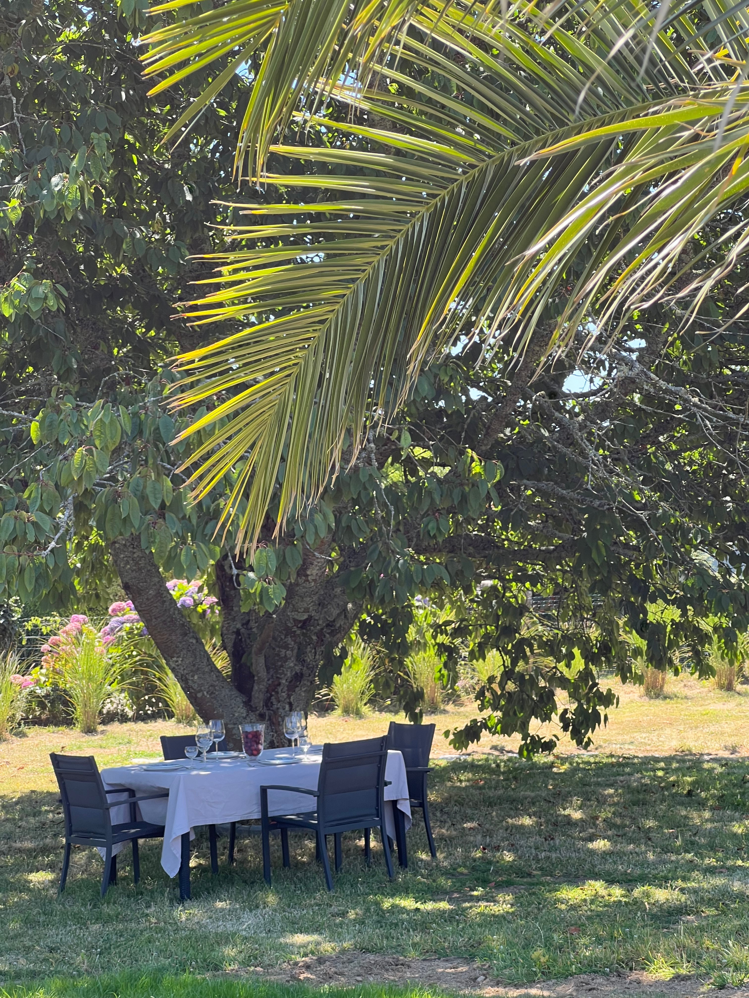 Table sous cerisier