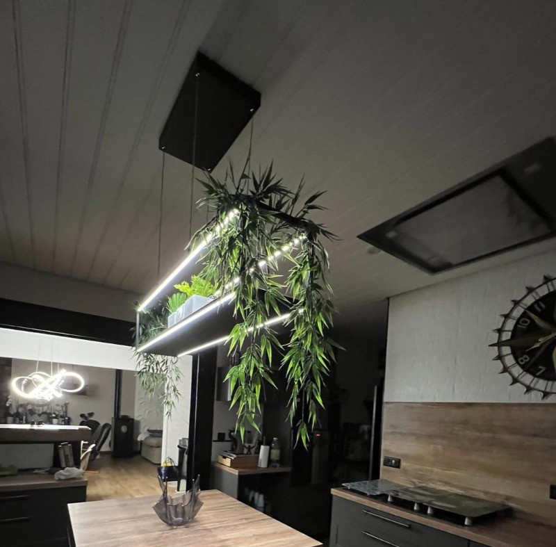 Photo n° 9 of the location