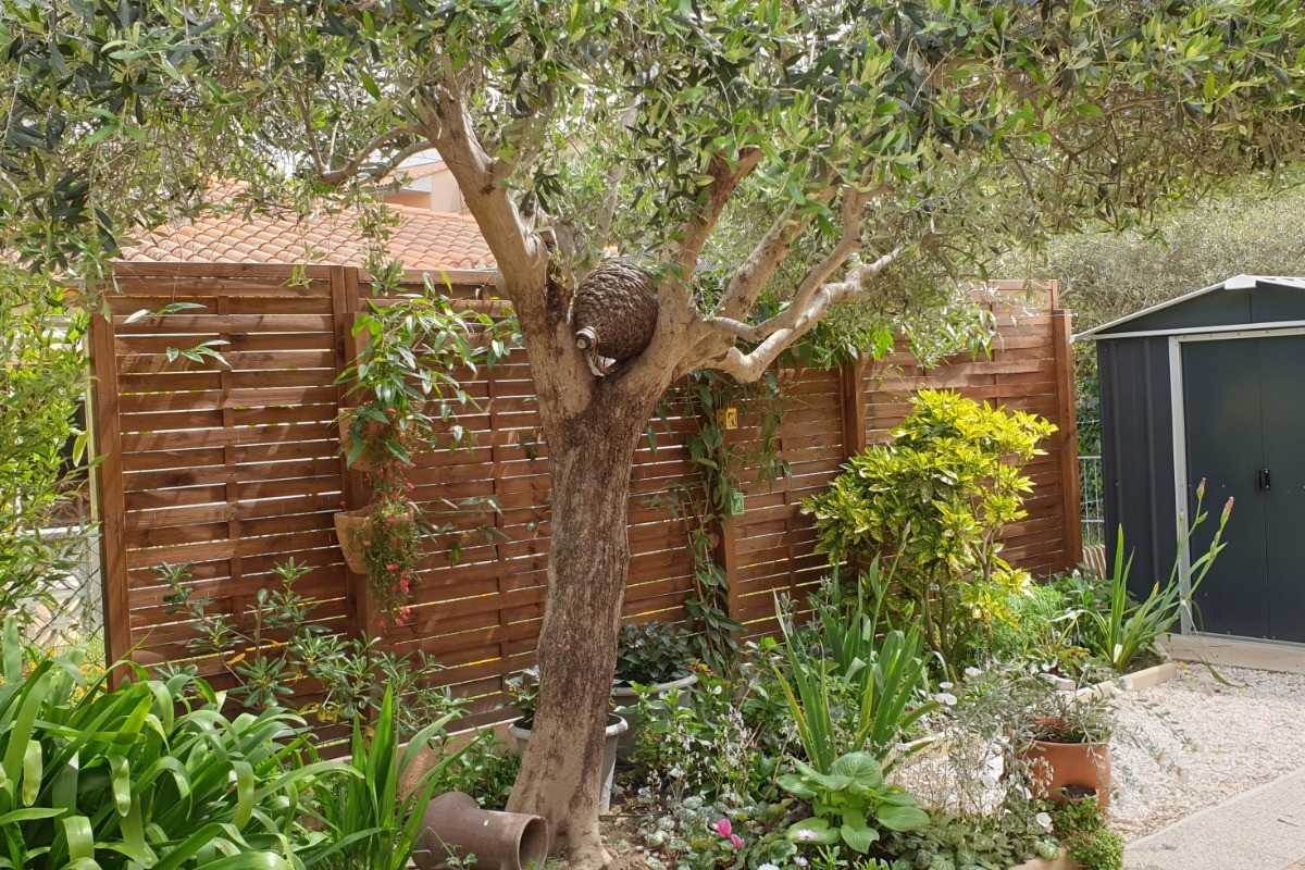 jardin arrière