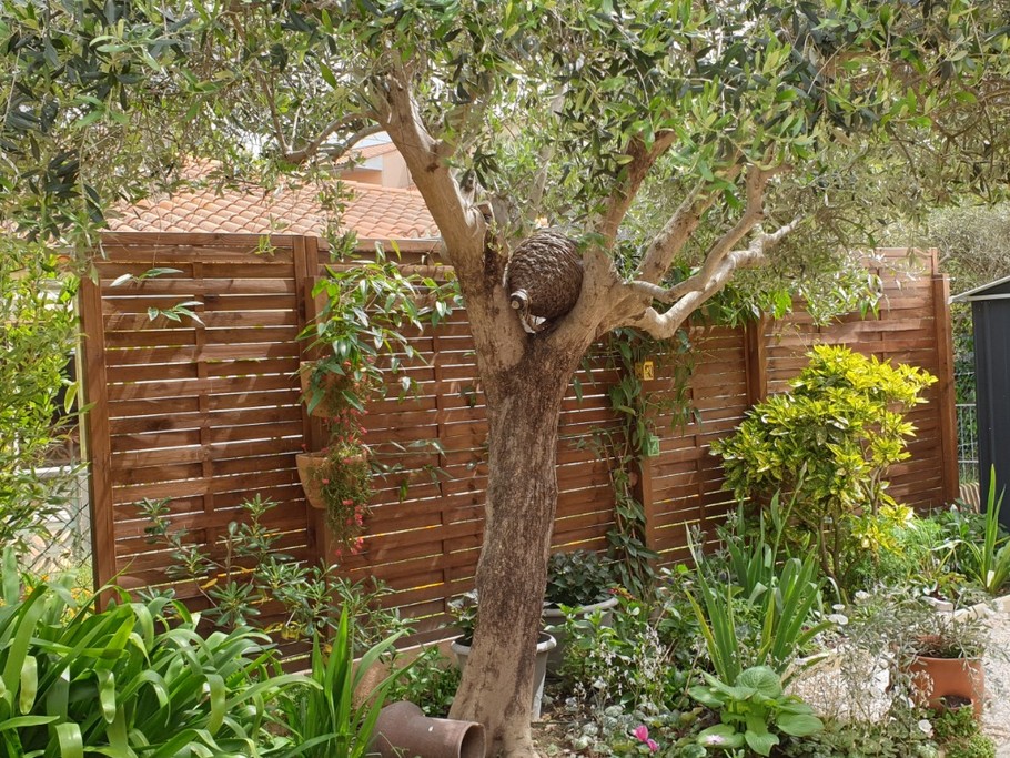 jardin arrière