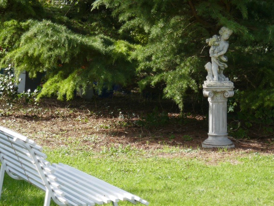 Jardin