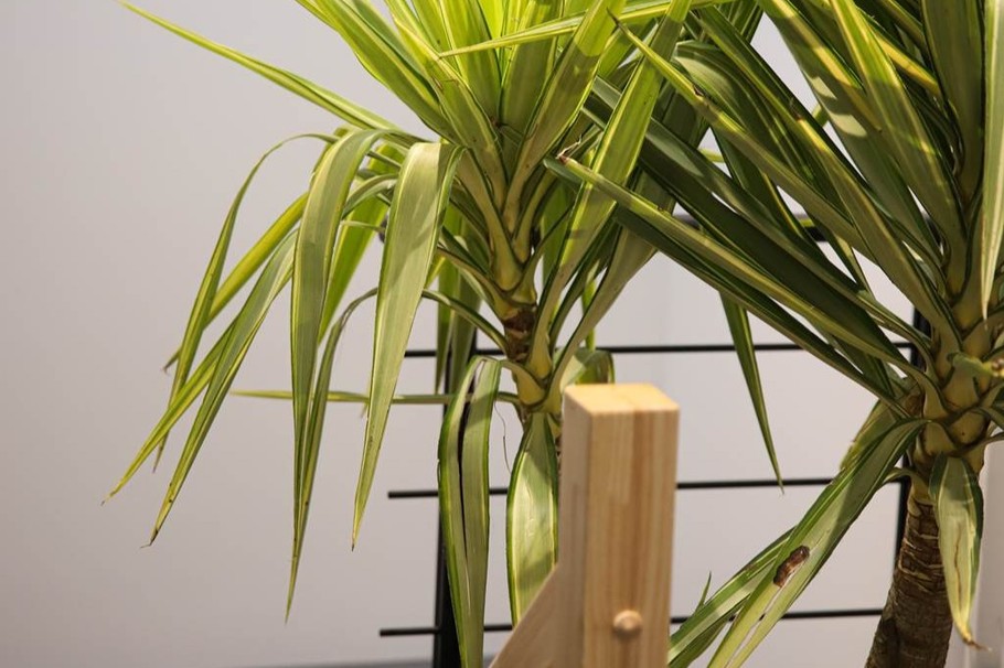 Entrée  Gîte Appart'Edith La Neuville aux Larris