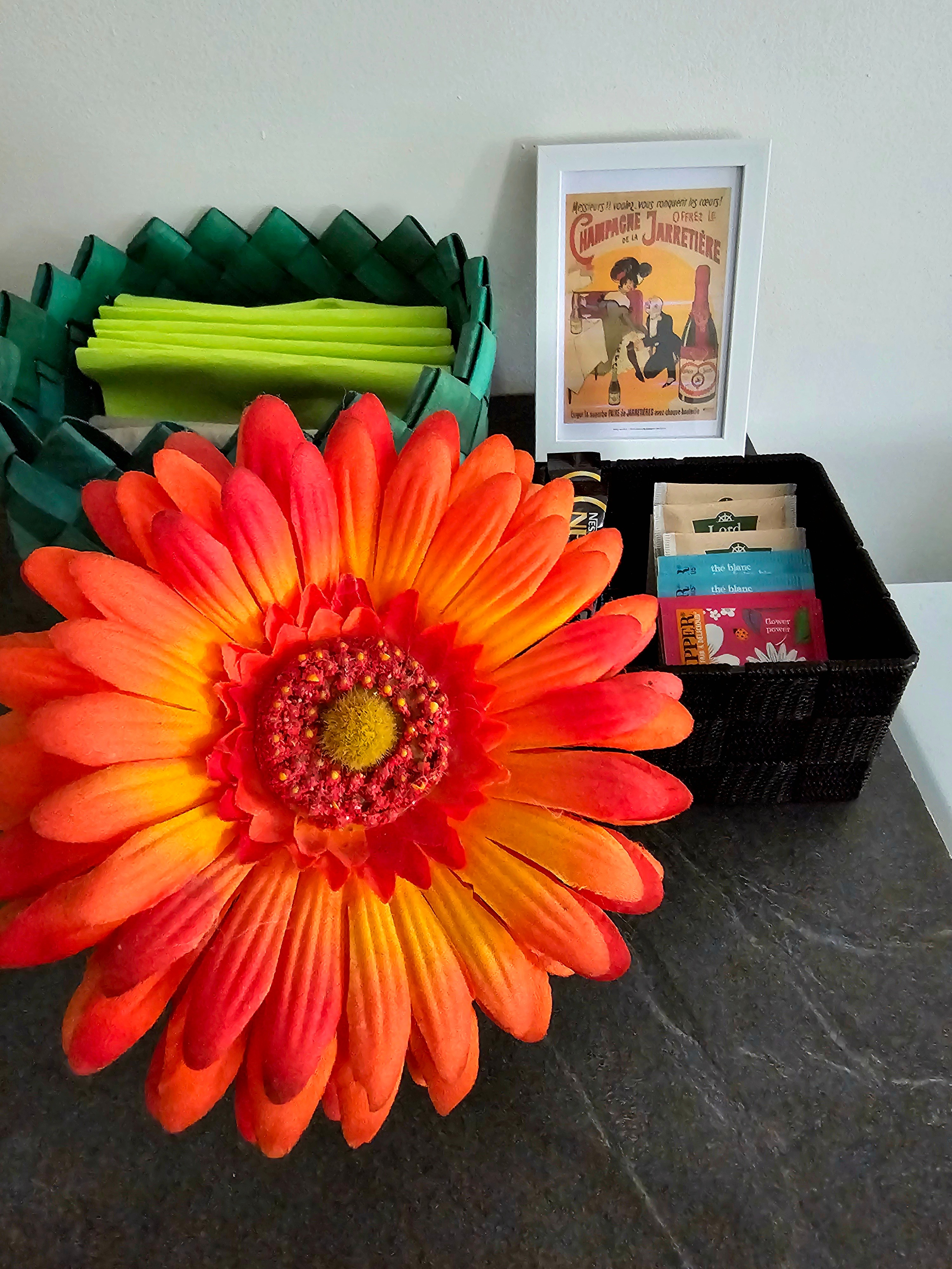 Gîte le Héron Bleu - Albi dans le Tarn en Occitanie - jeux et livres