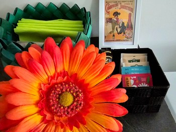 Gîte le Héron Bleu - Albi dans le Tarn en Occitanie - jeux et livres