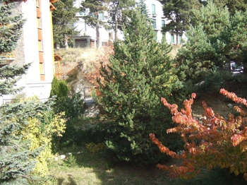 Vue sur jardin depuis la chambre 2