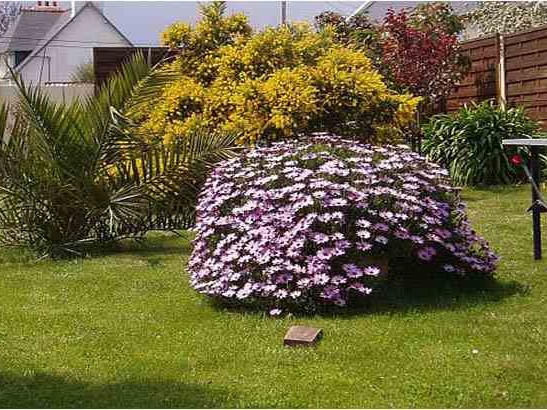 Photo n° 10 de la location