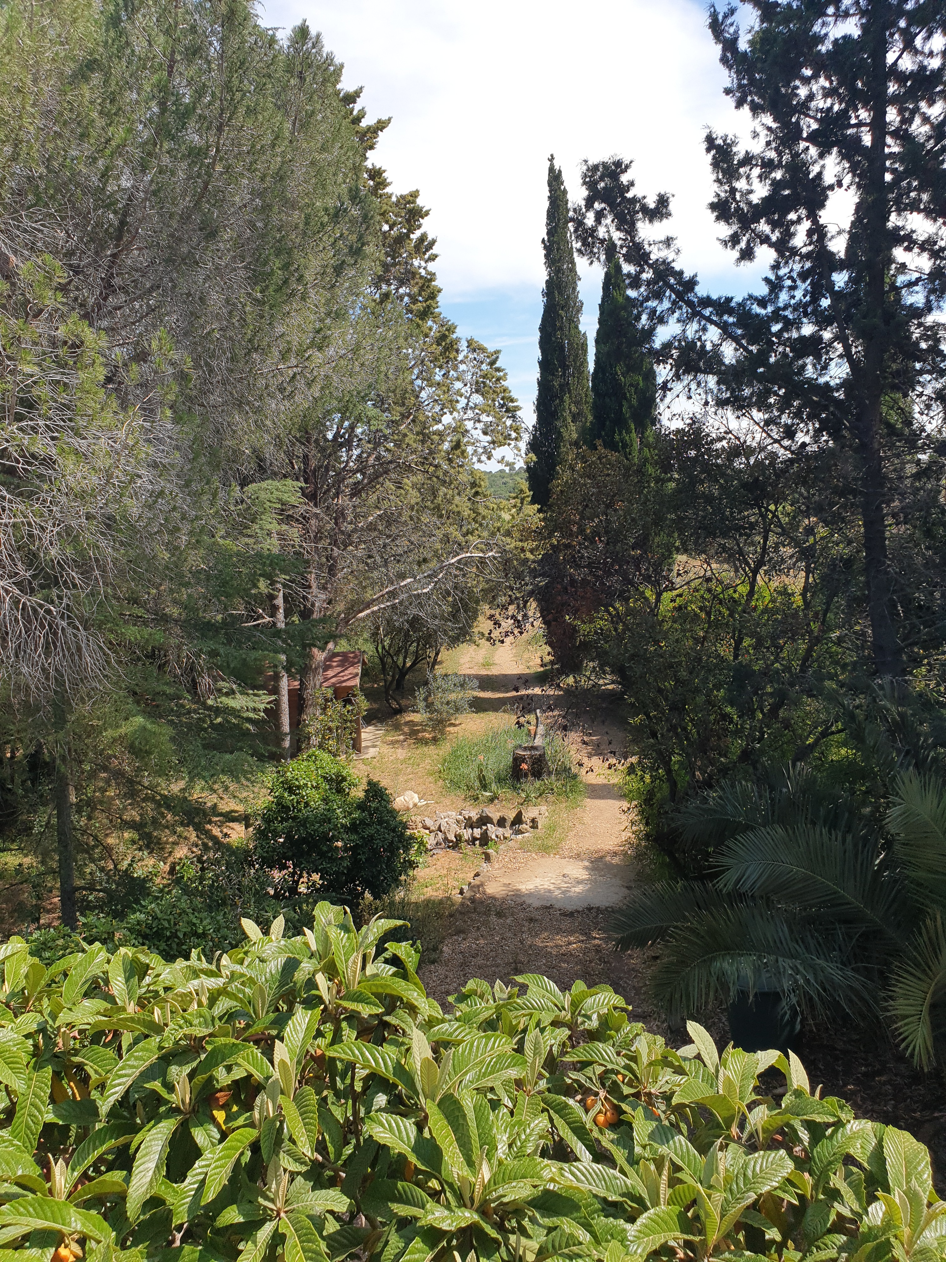 Photo n° 7 de la location