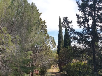 Photo n° 7 de la location