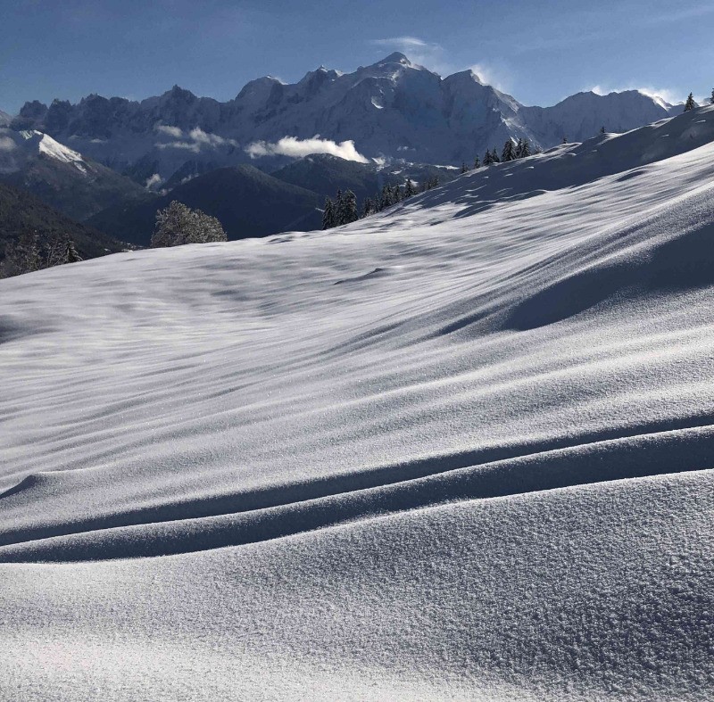 Champ de neige et le Mont-Blanc