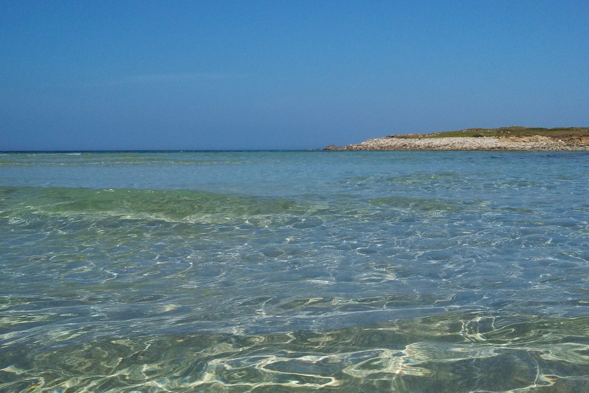 Segal Island at high tide