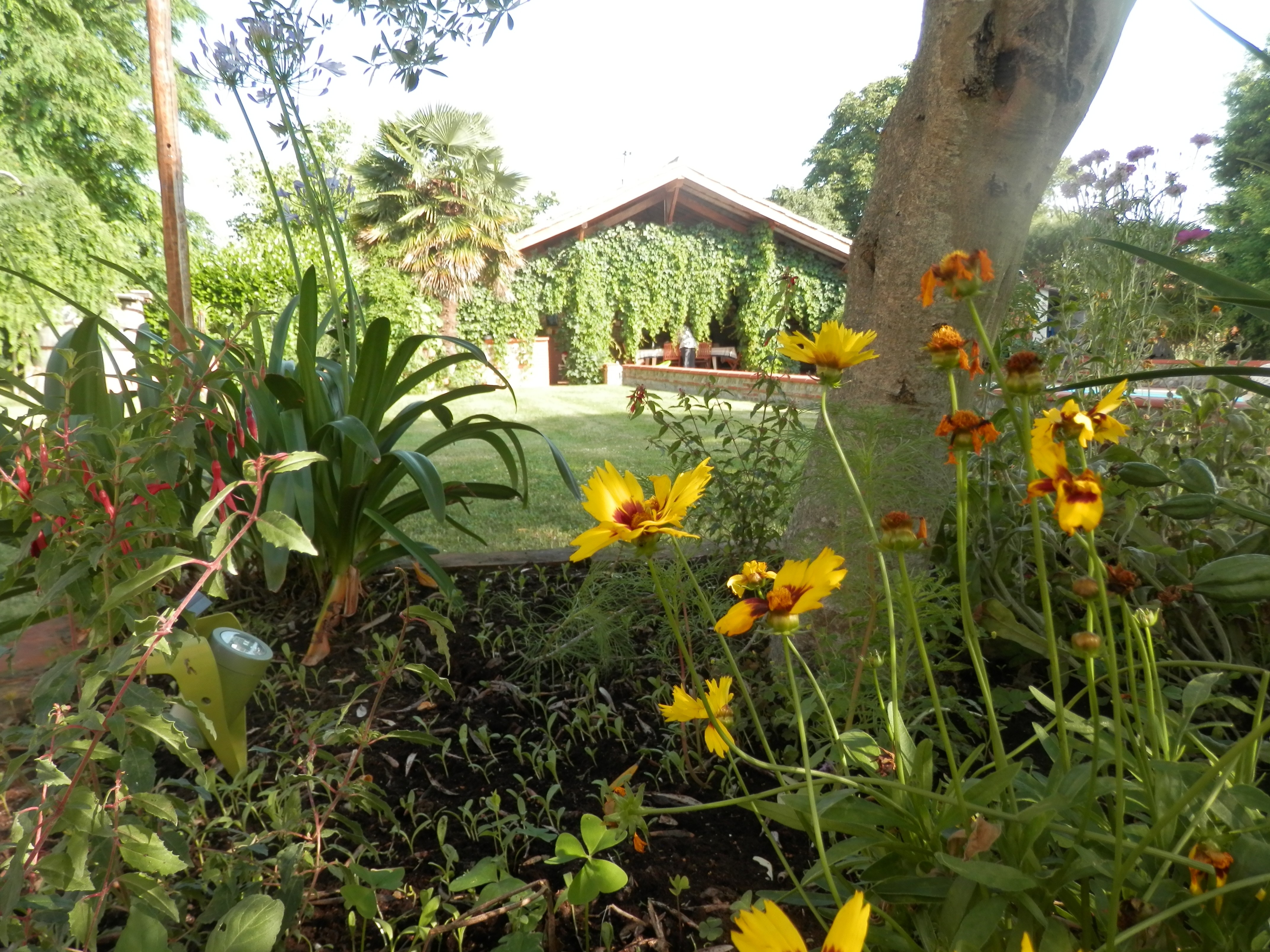 Photo n° 16 of the location