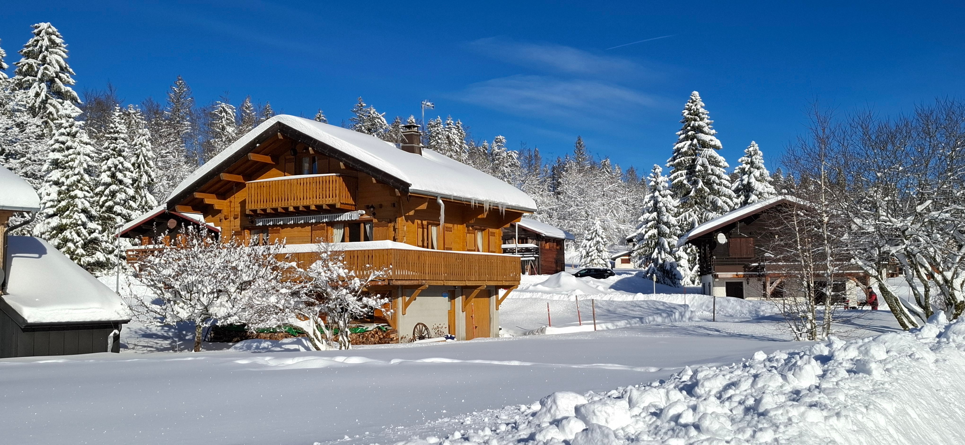 L'hiver sous la neige