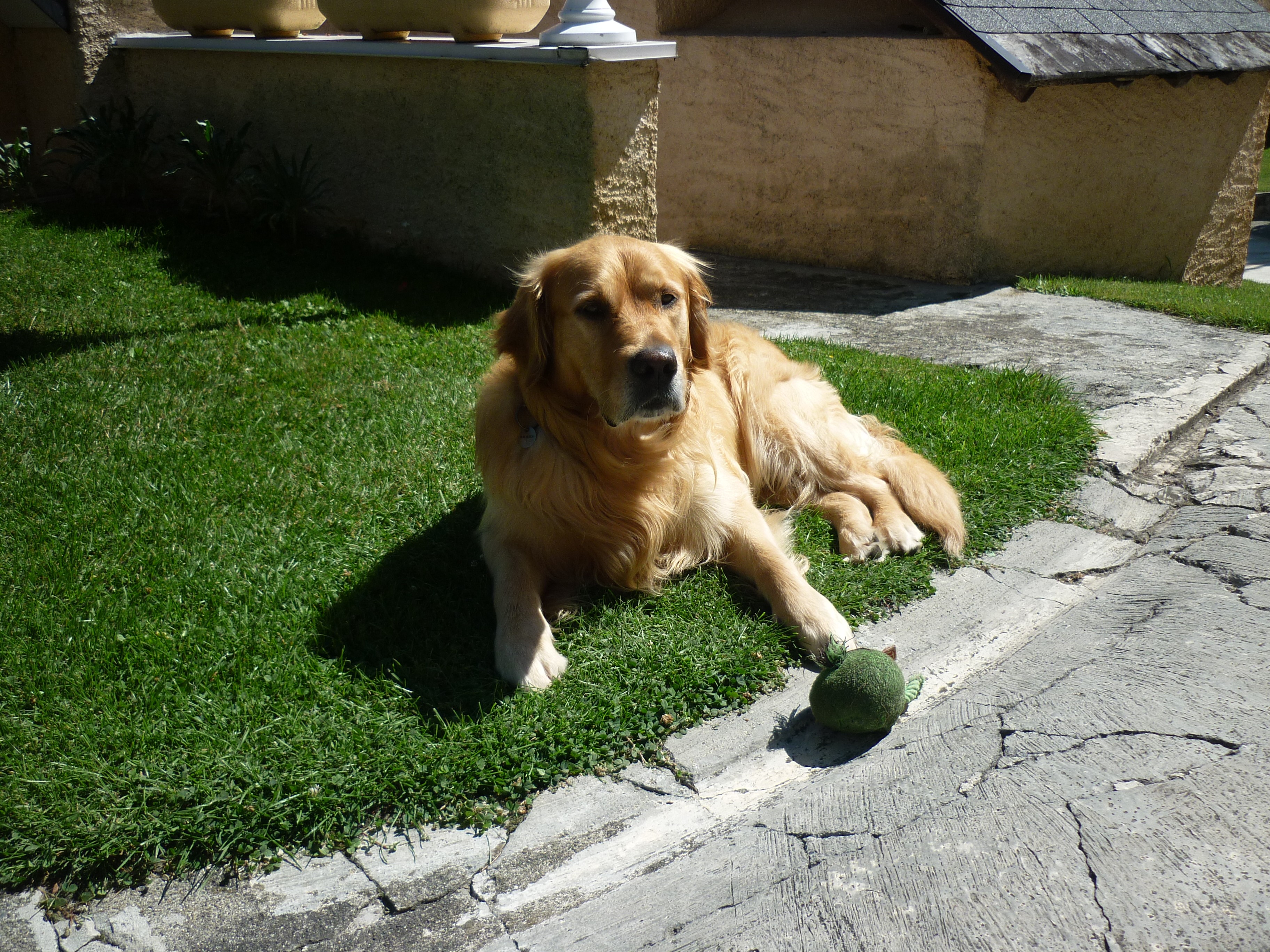 Photo n° 11 de la location