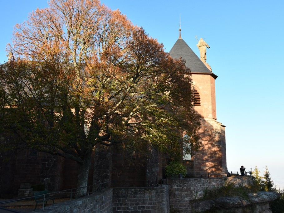 Le mystérieux Mont Sainte-Odile