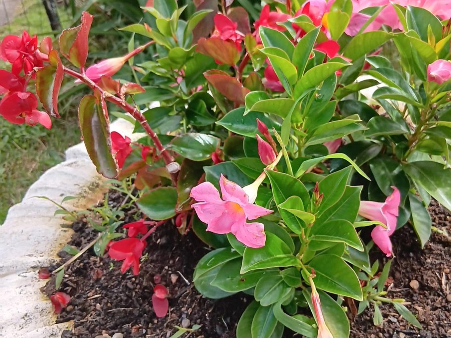 Photo n° 16 of the location