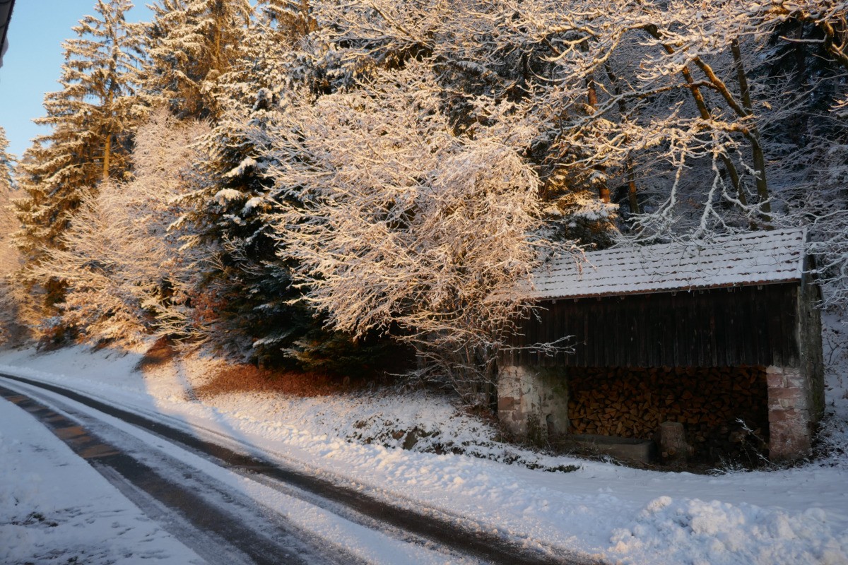 La source devant la maison
