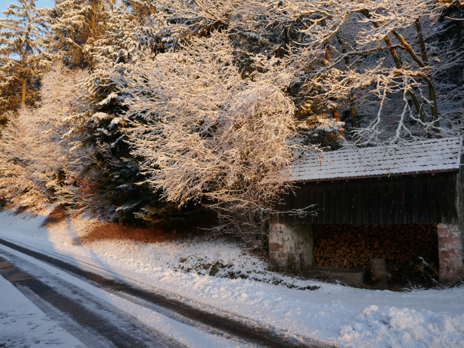La source devant la maison