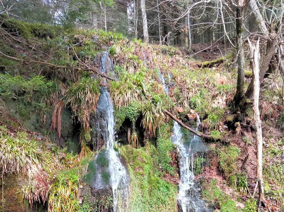 Photo n° 11 de la location