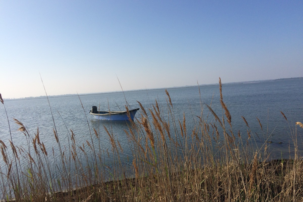 Barque de pêcheur sur l'étang