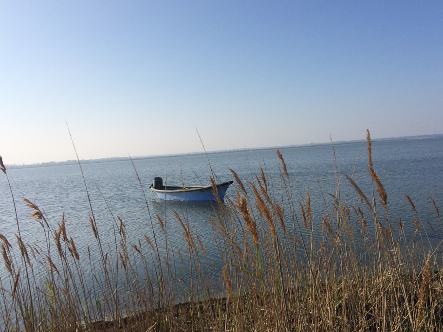 Barque de pêcheur sur l'étang