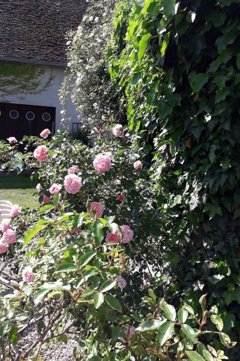 Photo n° 7 de la location