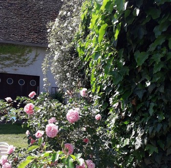Photo n° 7 of the location