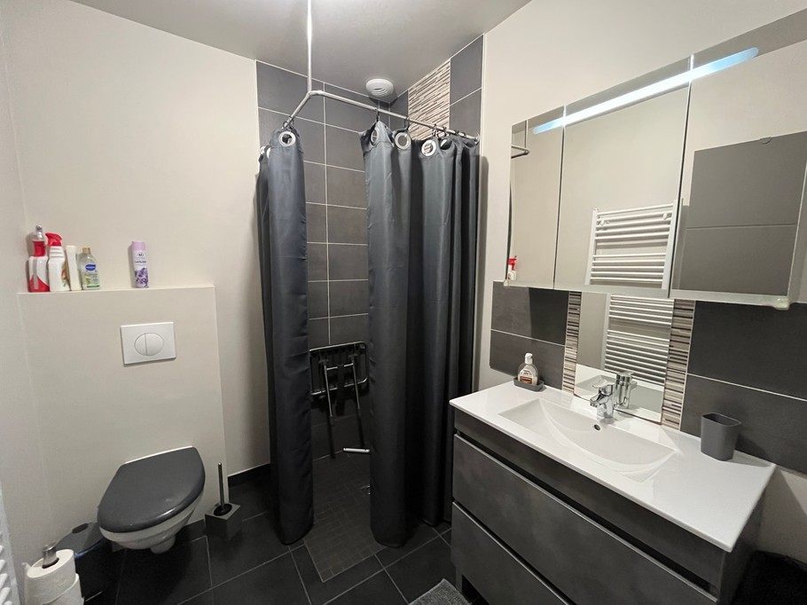 A bathroom adapted for people with reduced mobility, featuring a walk-in shower, toilet and vanity unit. 1 further separate toilet.