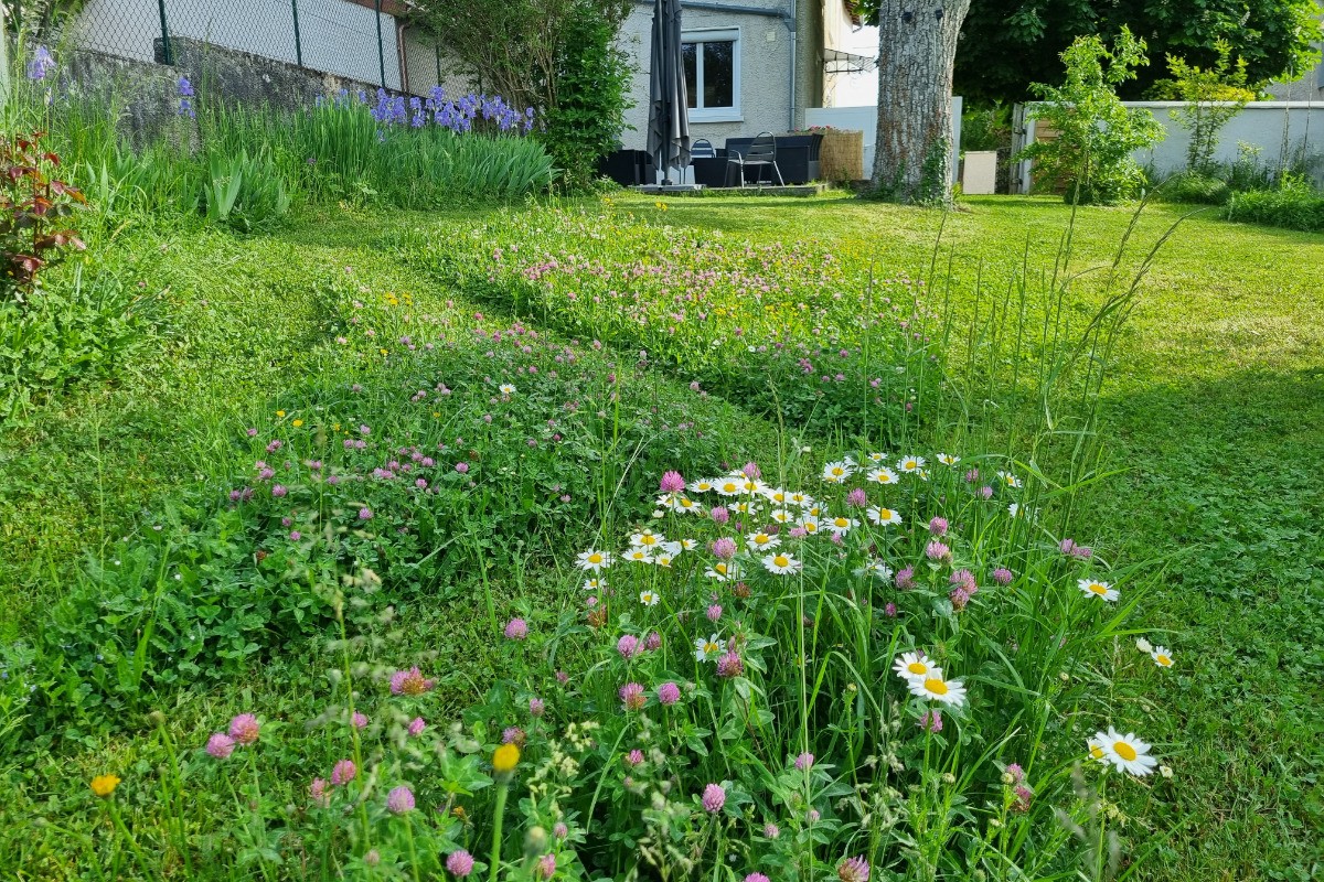 Jardin  Gîte des tuileries