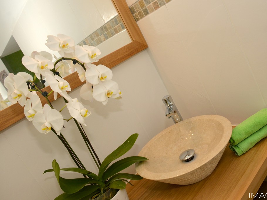 salle de bains Manguier