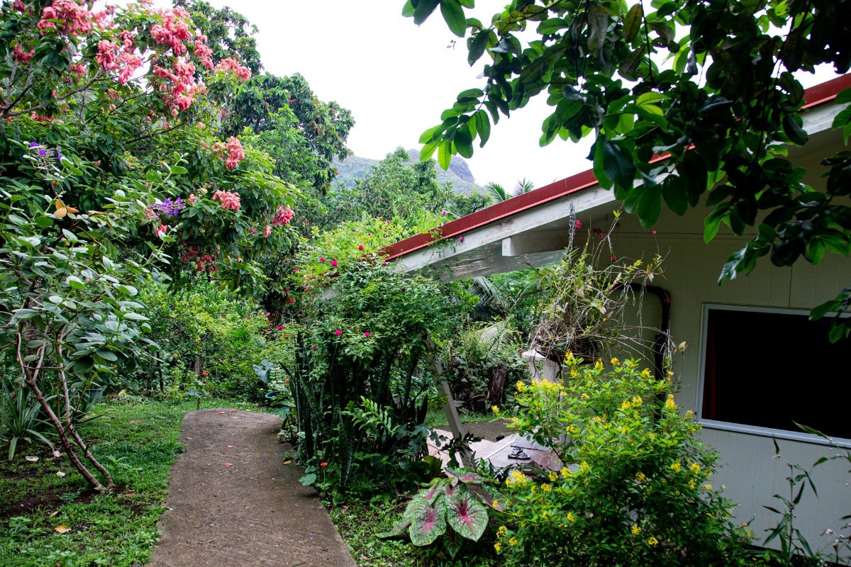 Photo n° 6 of the location