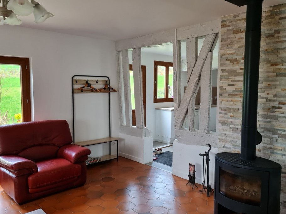 Salon avec tv et poèle