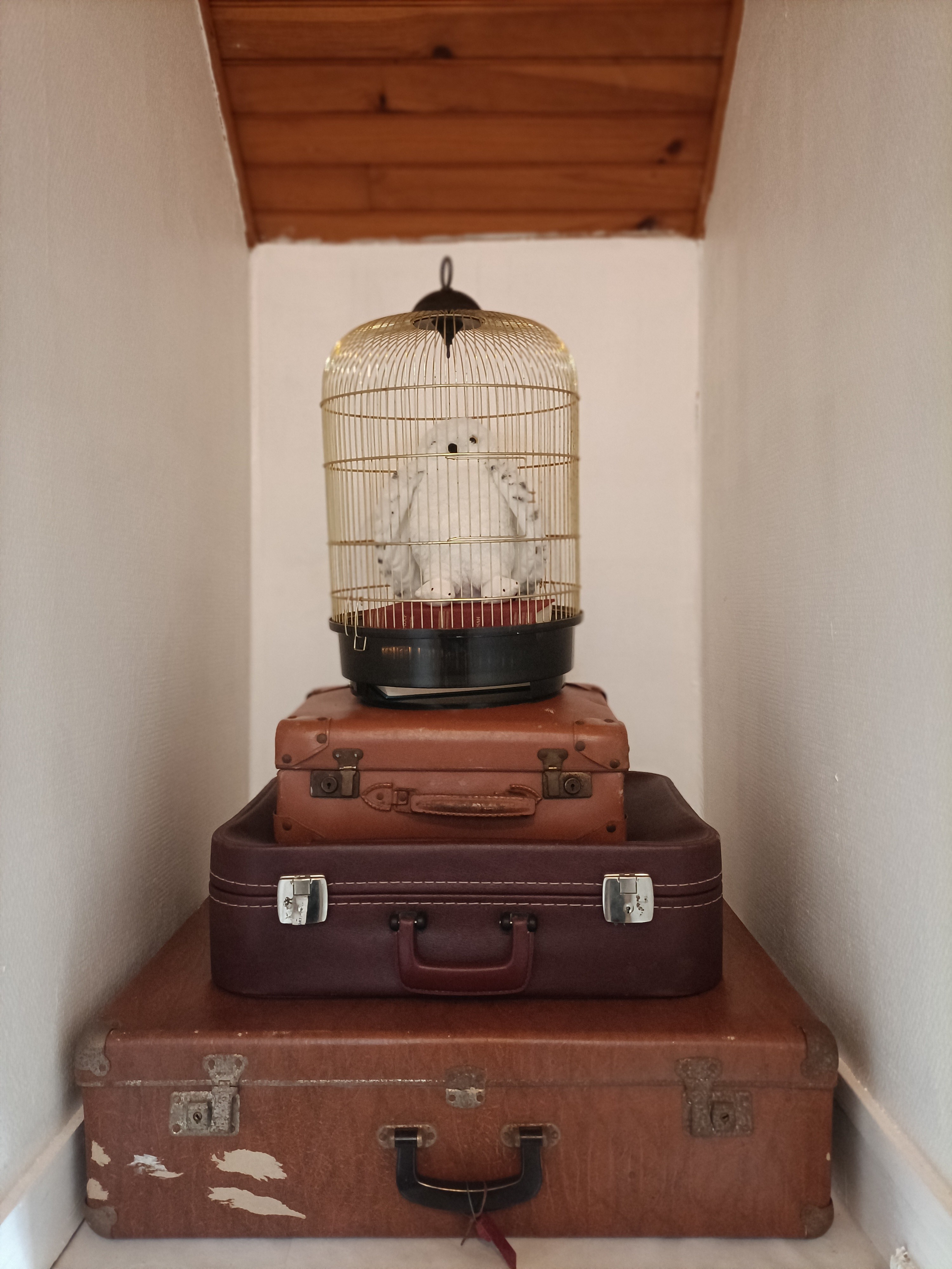 couloir bibliothèque