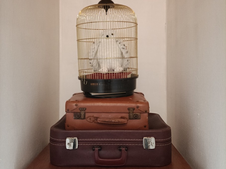 couloir bibliothèque