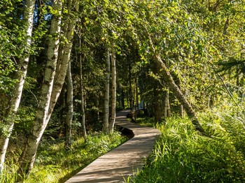 Lispach Lake Trail © La Bresse Tourist Office
