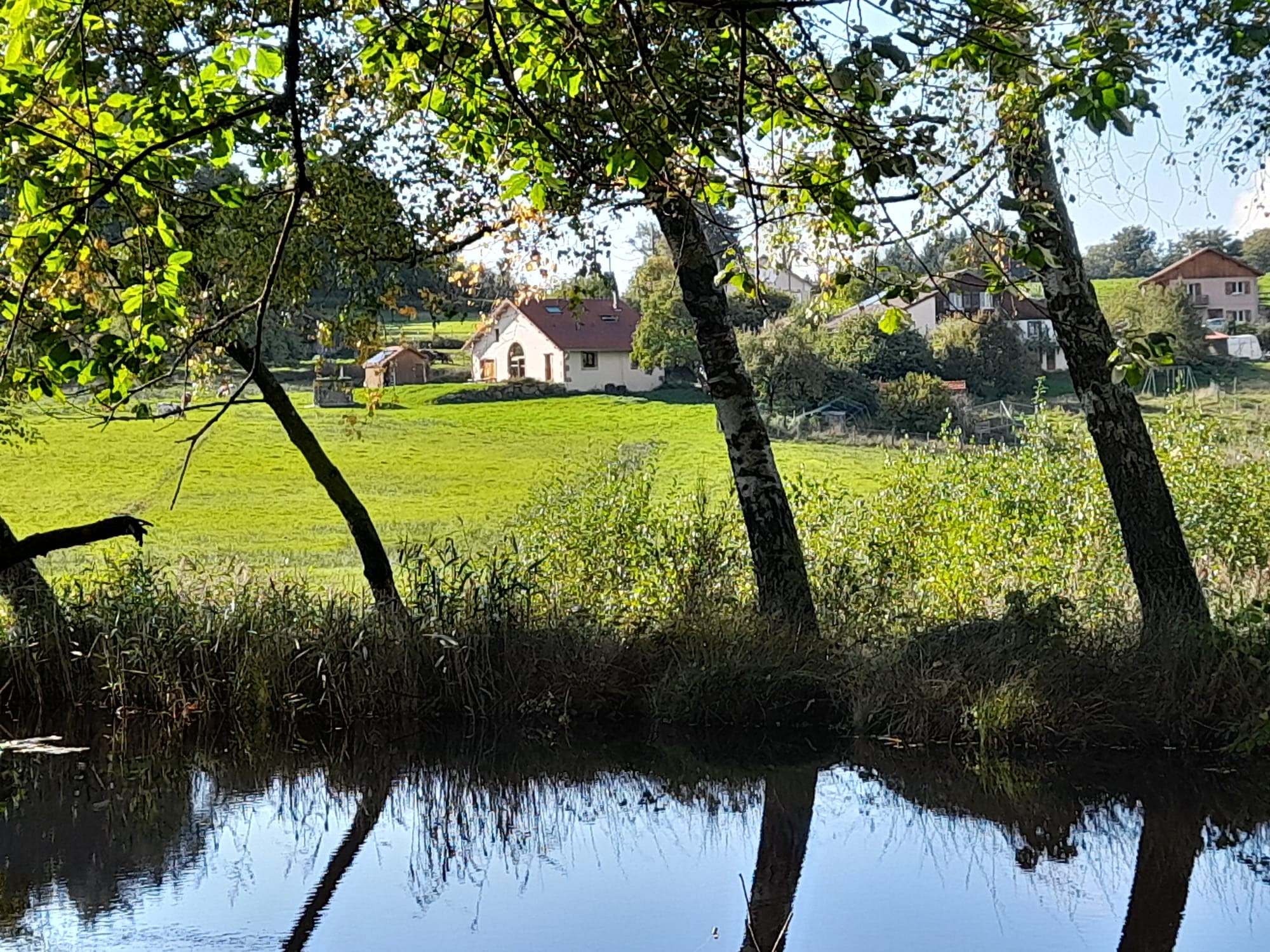 vue du gîte depuis l'étang