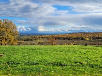 Photo n° 10 of the location