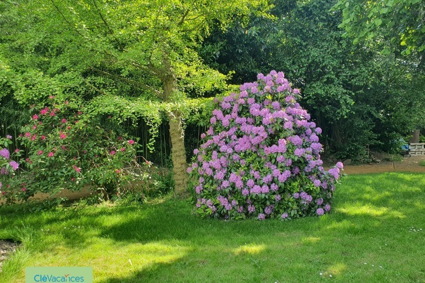 Clévacances, le jardin