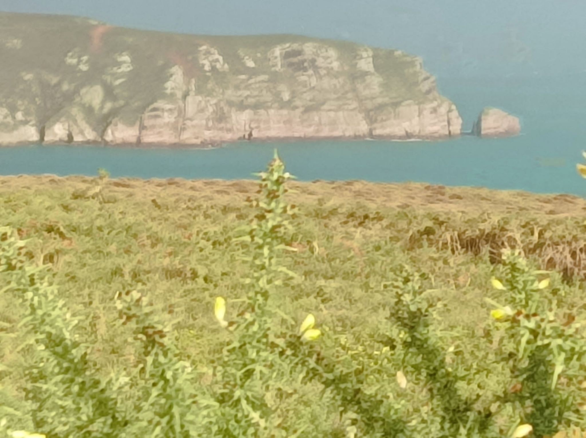 Photo n° 17 of the location