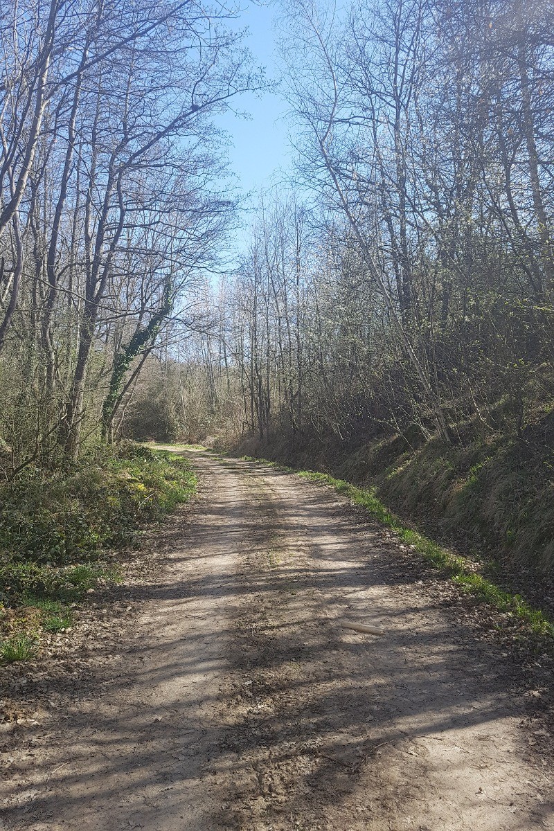 promenade