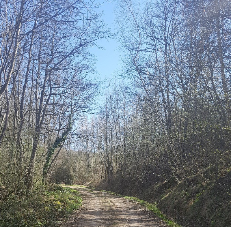 promenade