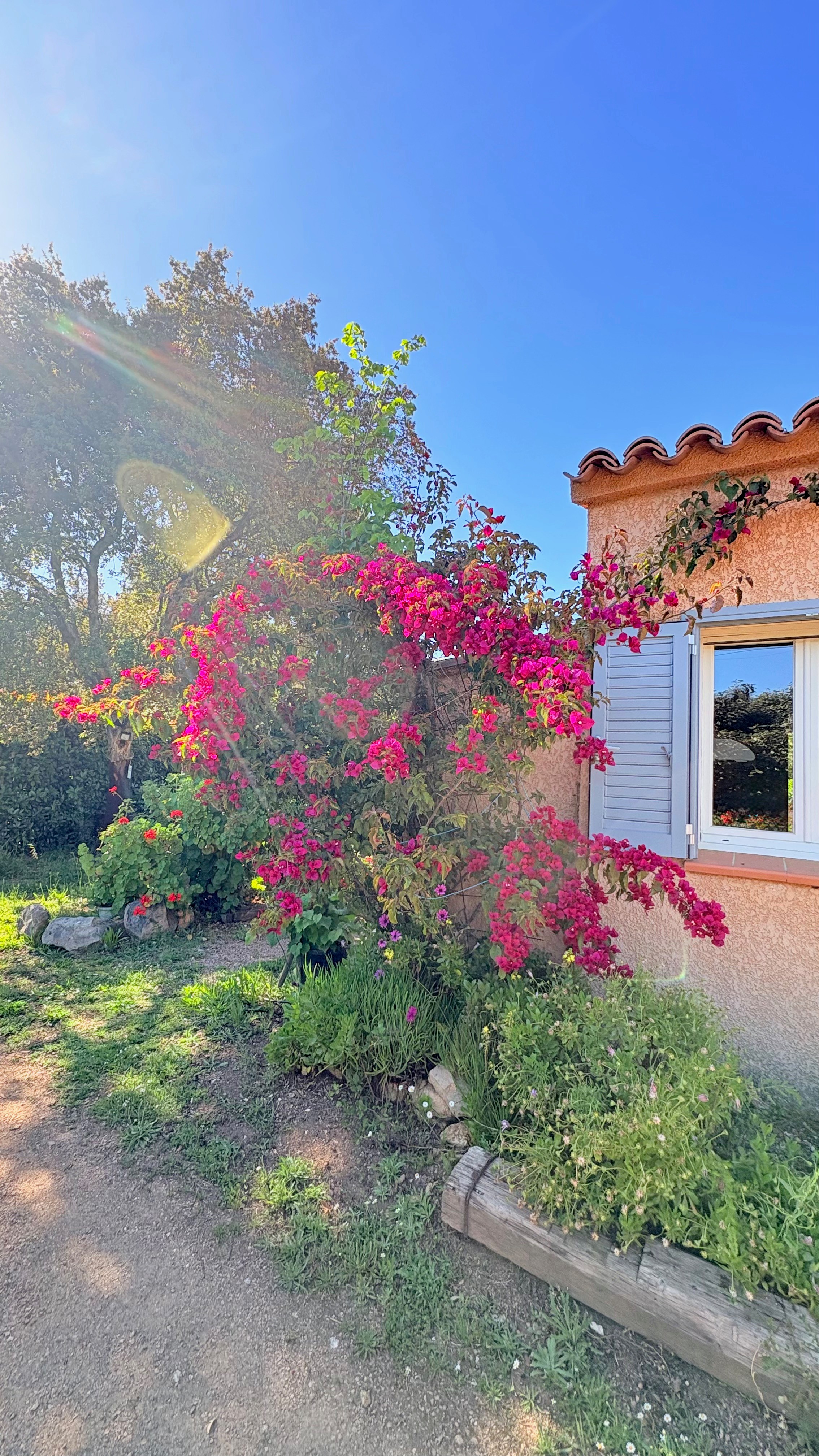 Photo n° 10 de la location