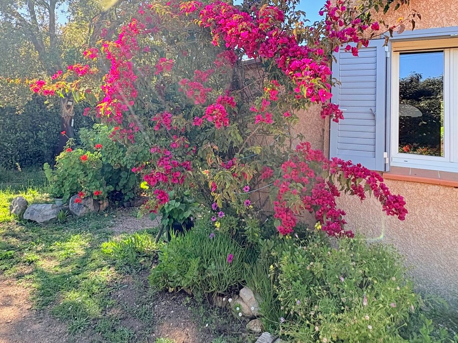 Photo n° 10 of the location