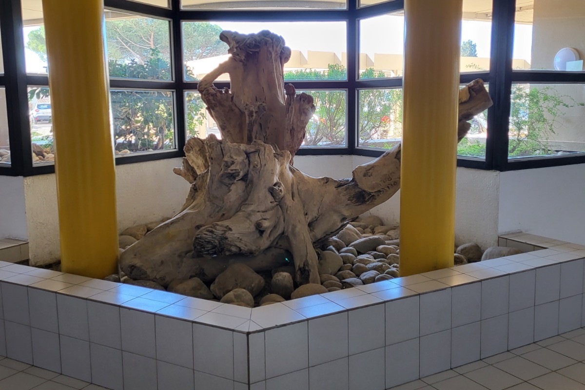 Photo n° 15 de la location