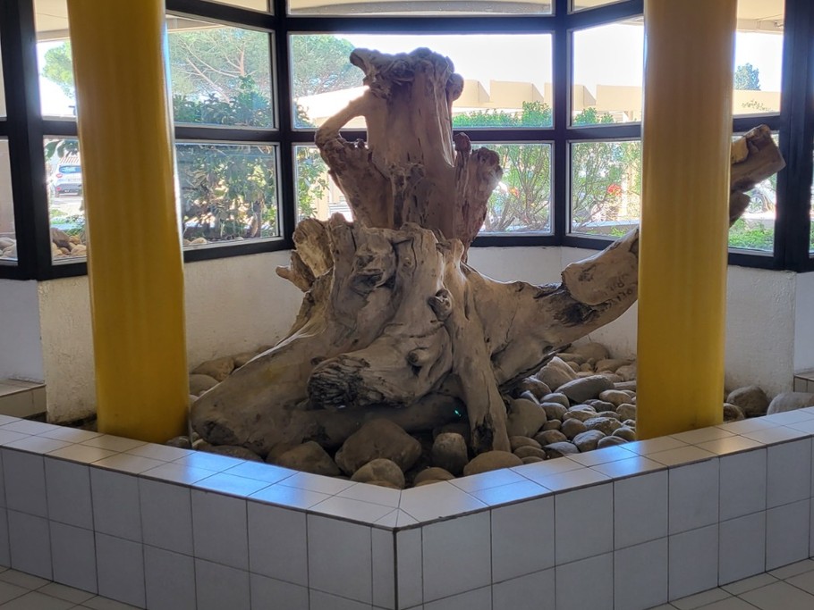 Photo n° 15 de la location