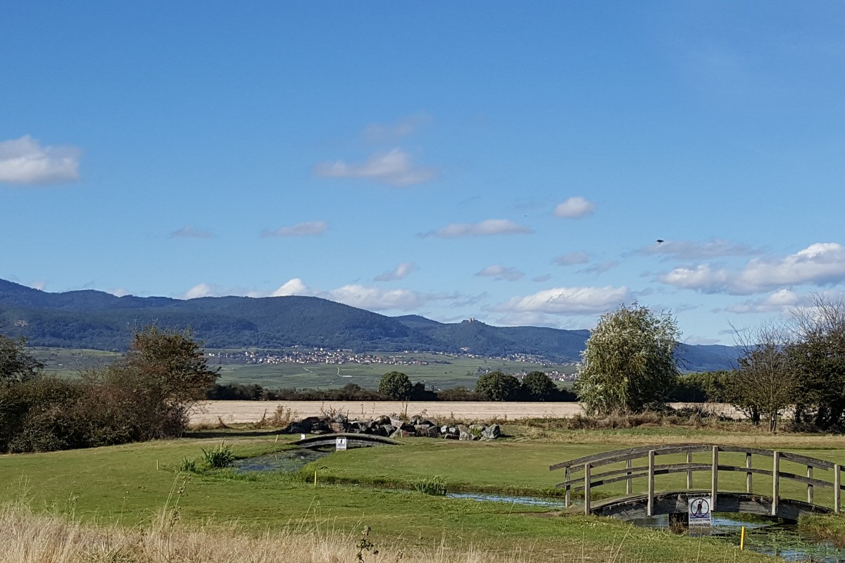 Photo n° 17 de la location