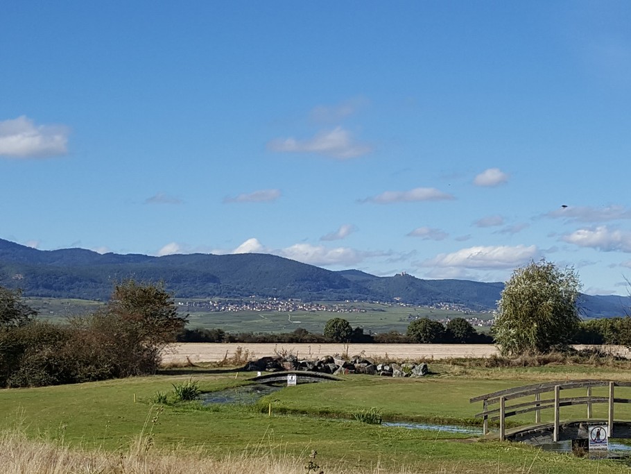 Photo n° 17 de la location