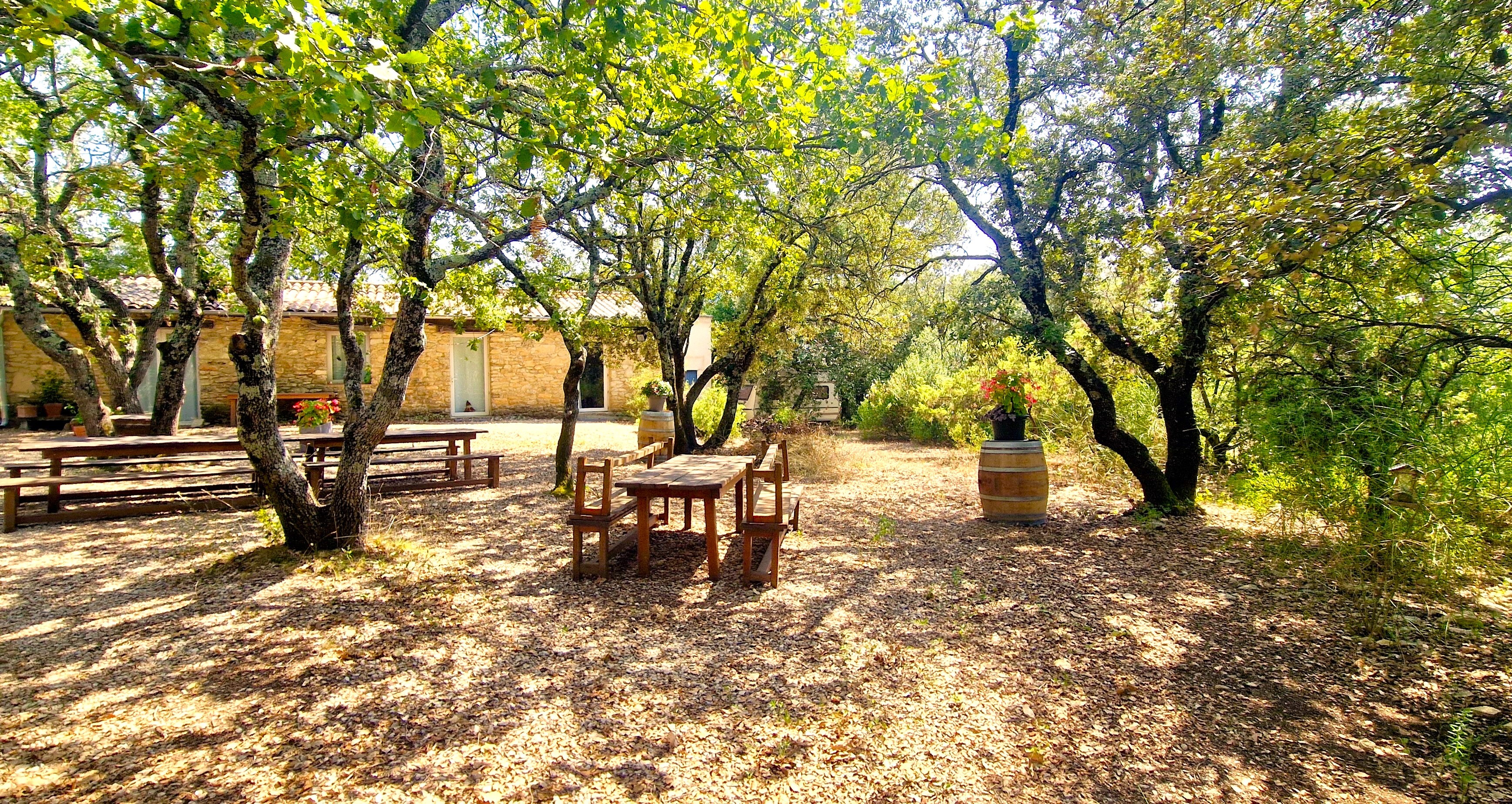 Photo n° 16 de la location