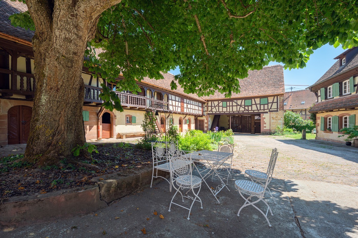 Photo n° 10 of the location