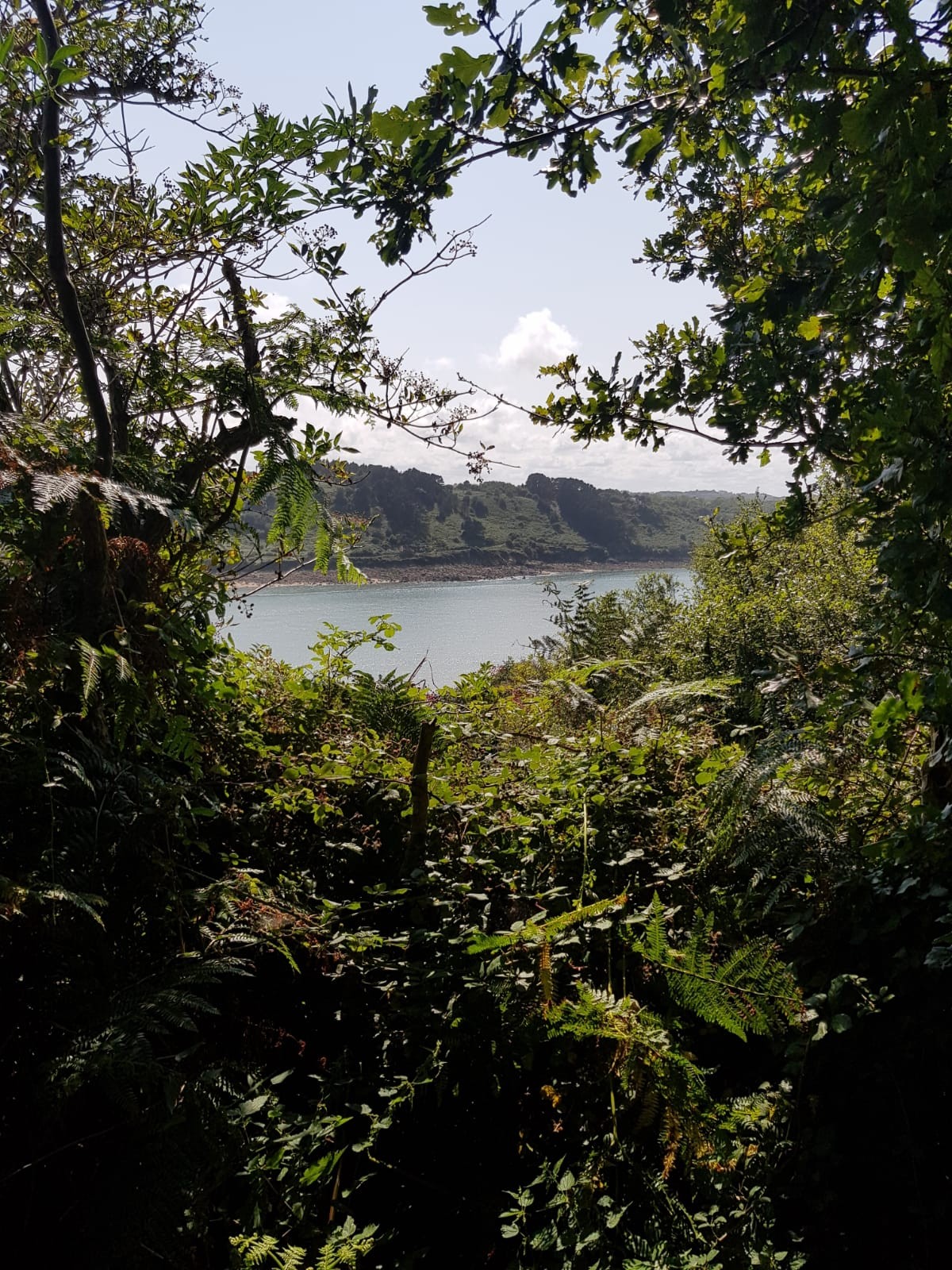 sentier des douaniers vue sur l'estuaire
