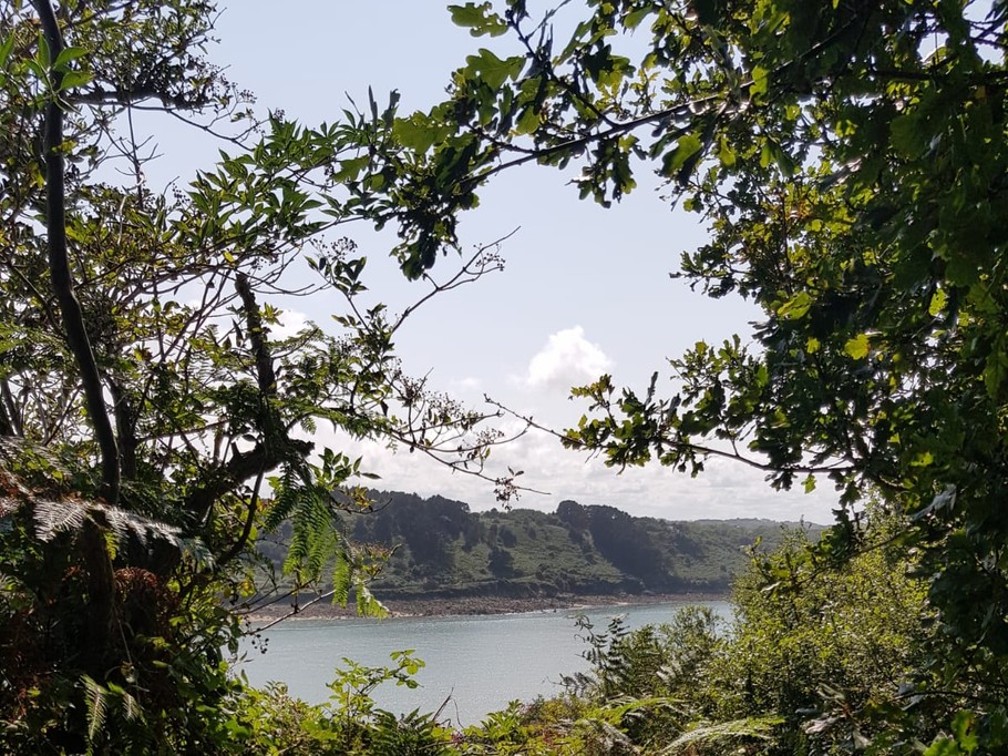 sentier des douaniers vue sur l'estuaire